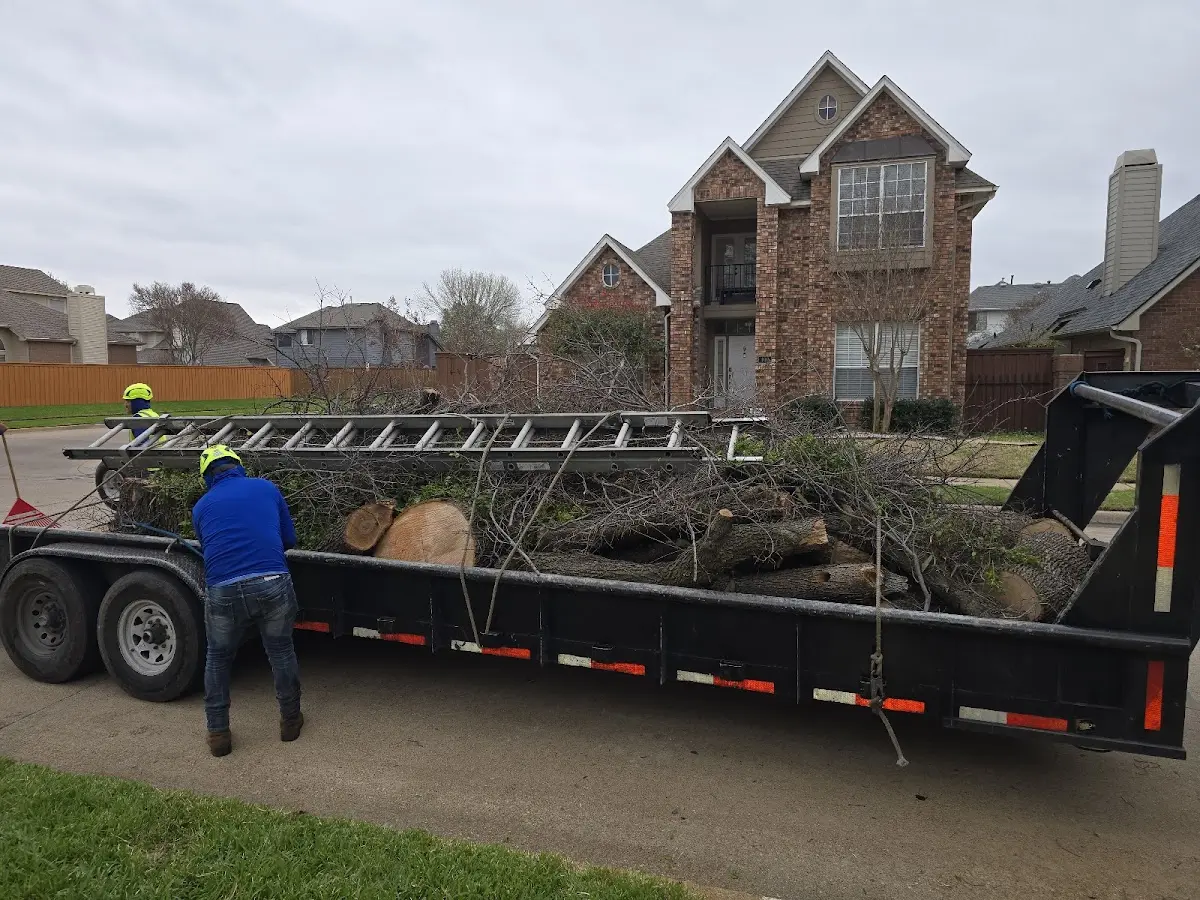 Expert Tree Removal with proper safety equipment in White Earth